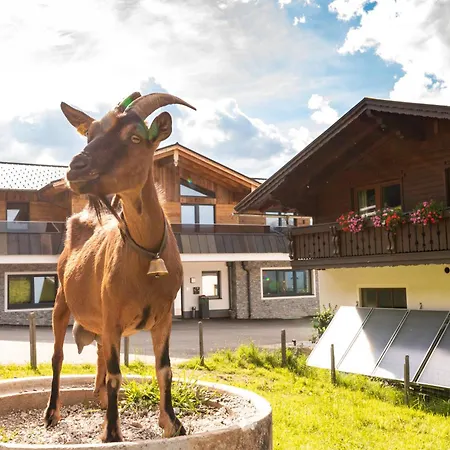 Bucheggerhof Сasa de vacaciones Schladming